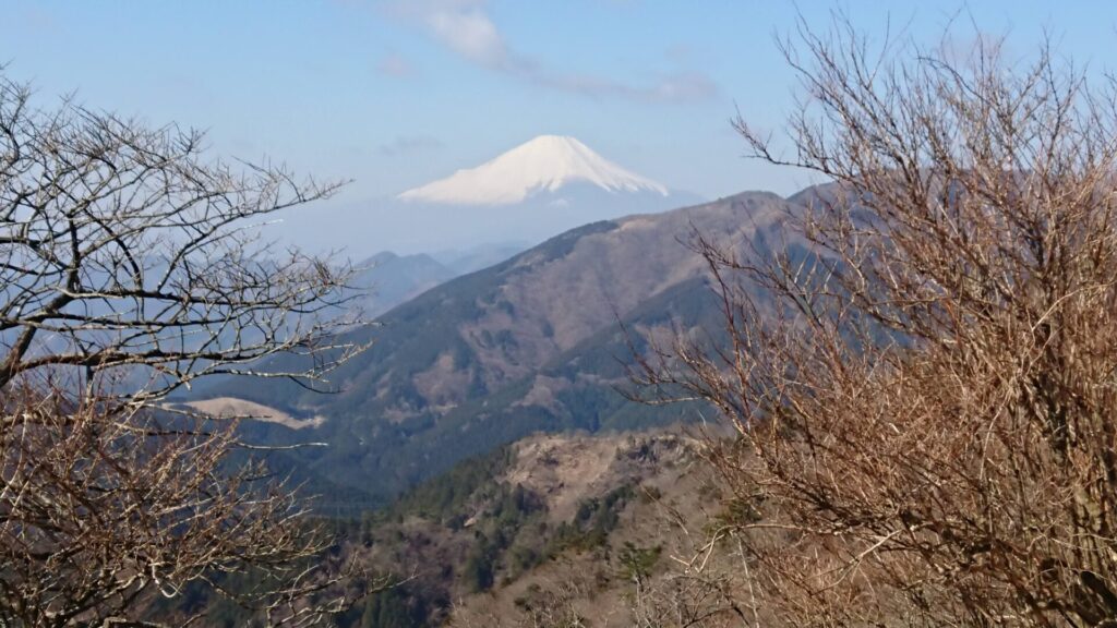 大山・富士見台から見る富士山