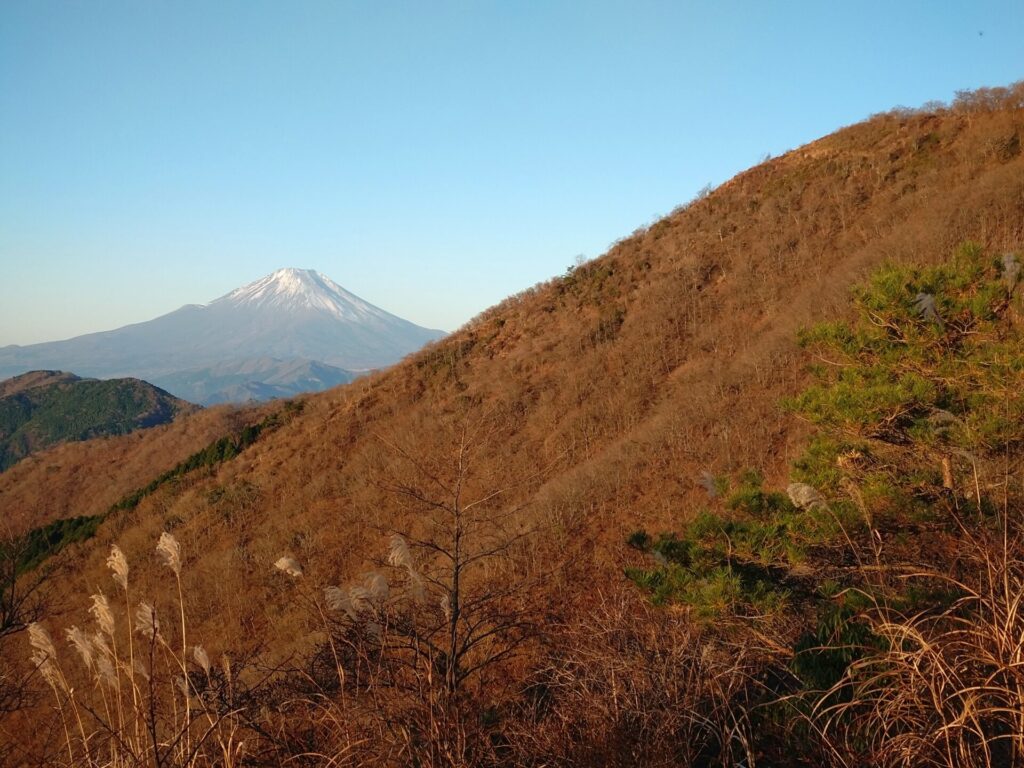 花立山荘から見る富士山