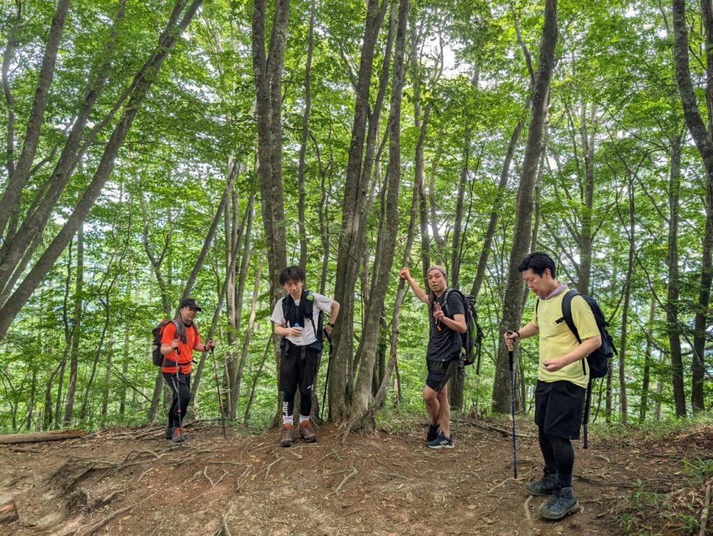 日向山登山道5