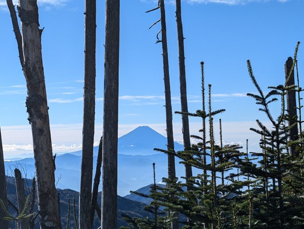 朝日峠～朝日岳登山道