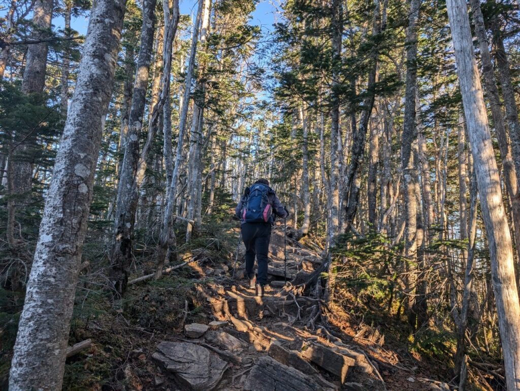 登山道・朝日岳