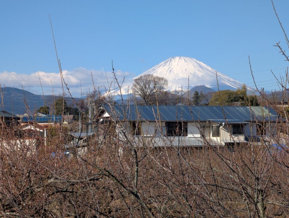 soga-11-e1740360546349.jpg